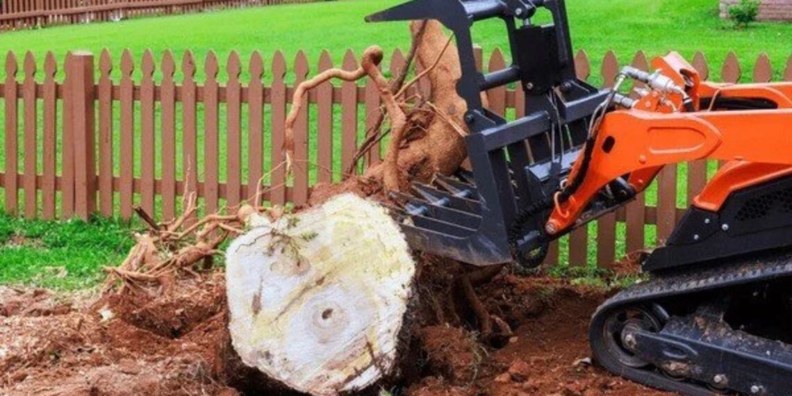 How Does Martha's Vineyard Stump Grinding Improve Your Yard?