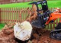 How Does Martha's Vineyard Stump Grinding Improve Your Yard?