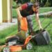 Why A Dangerous Tree Should Never Be Left Unpruned