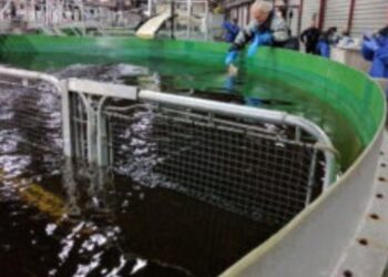 Fish Handling & Aquaculture: Why The Old Methods Are Costing You More Than You Think