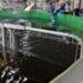 Fish Handling & Aquaculture: Why The Old Methods Are Costing You More Than You Think