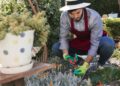 From Mowing To Cleanup: What Local Landscapers Can Handle