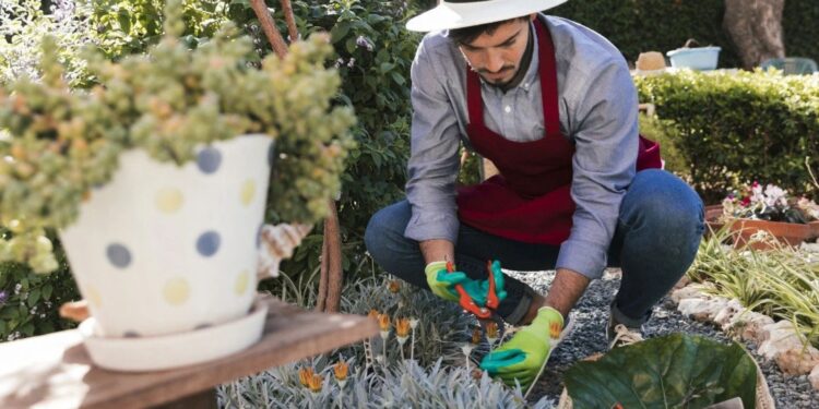 From Mowing To Cleanup: What Local Landscapers Can Handle